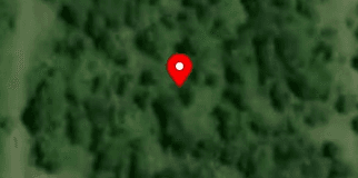 House image located at Ville Platte, LA 70586