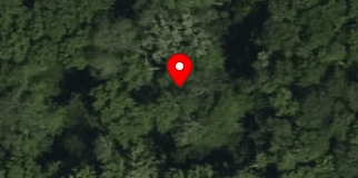 House image located at Bellingham, MA 02019
