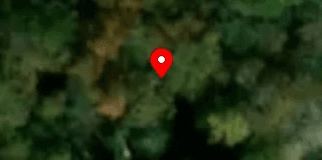 House image located at Rogersville, AL 35652