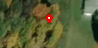 House image located at Colden, NY 14033