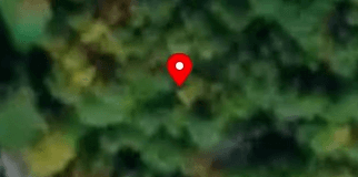 House image located at Vestal, NY 13850