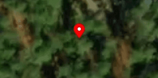 House image located at Elloree, SC 29047