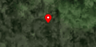 House image located at Irving, NY 14081