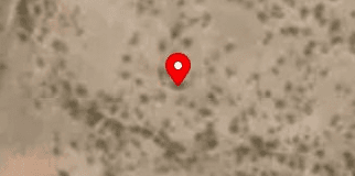House image located at Tonopah, AZ 85354