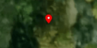 House image located at Hale, MI 48739