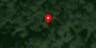 House image located at McEwen, TN 37101