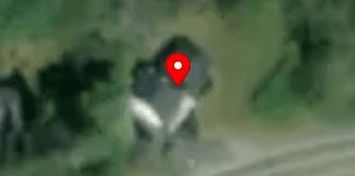 House image located at Jeffersonville, NY 12748