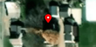 House image located at Arcanum, OH 45304