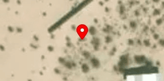House image located at Joshua Tree, CA 92252