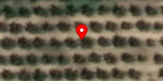 House image located at Galt, CA 95632